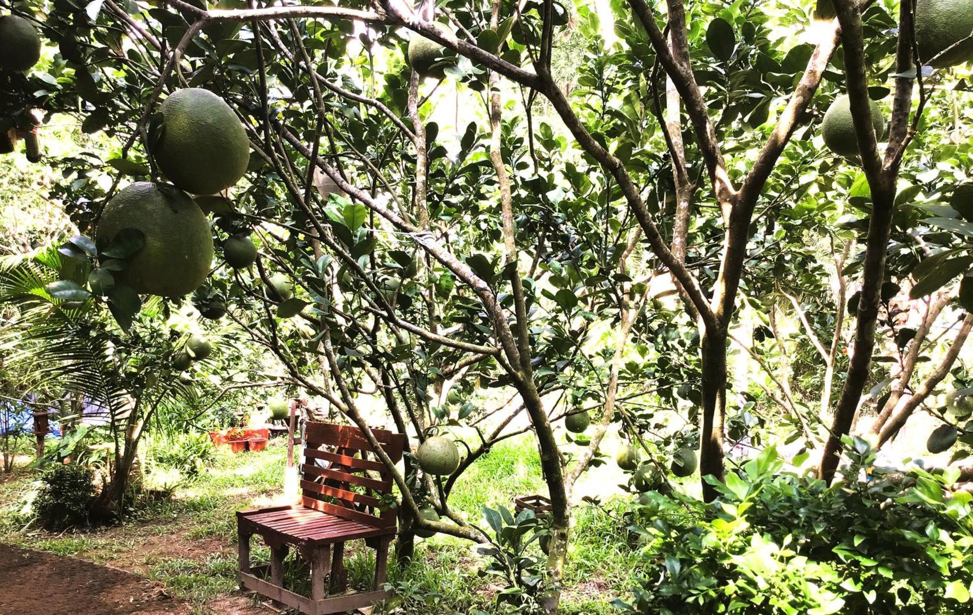 Ben Tre Farm Stay Exterior photo
