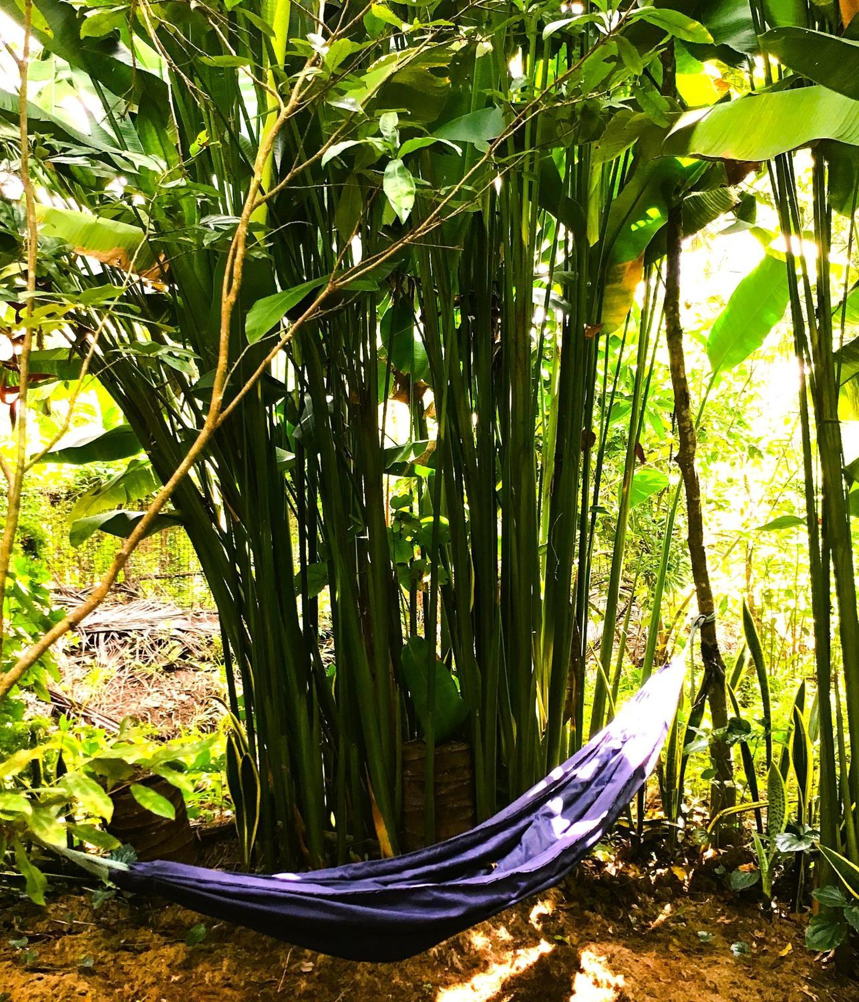 Ben Tre Farm Stay Exterior photo