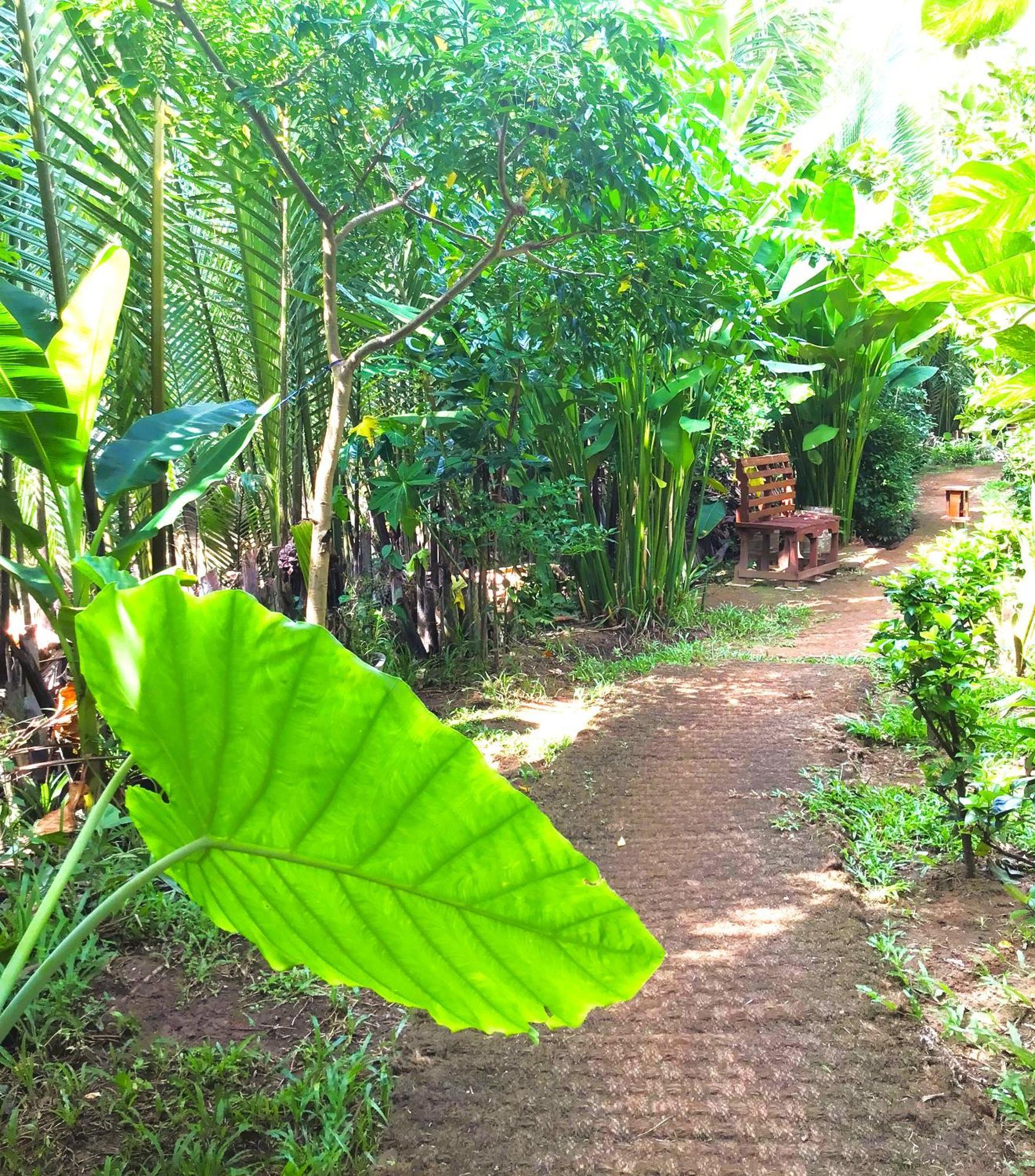 Ben Tre Farm Stay Exterior photo